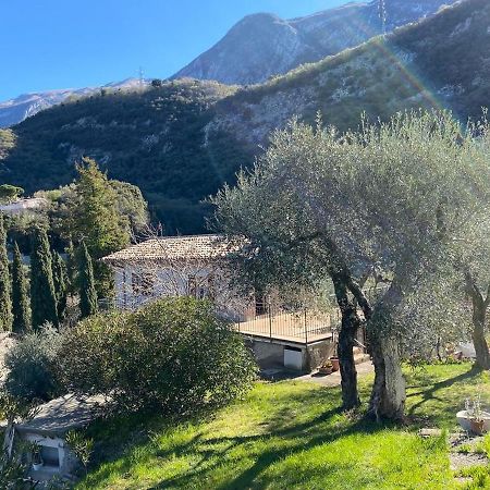 Apartamento Olive Grove House Malcesine Exterior foto