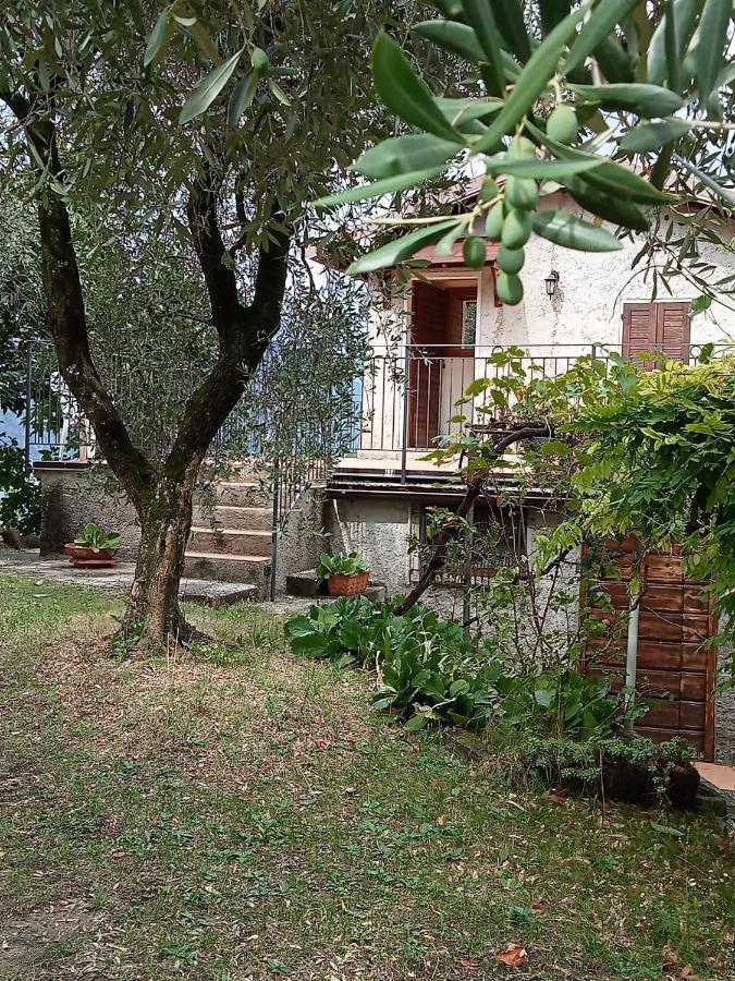 Apartamento Olive Grove House Malcesine Exterior foto