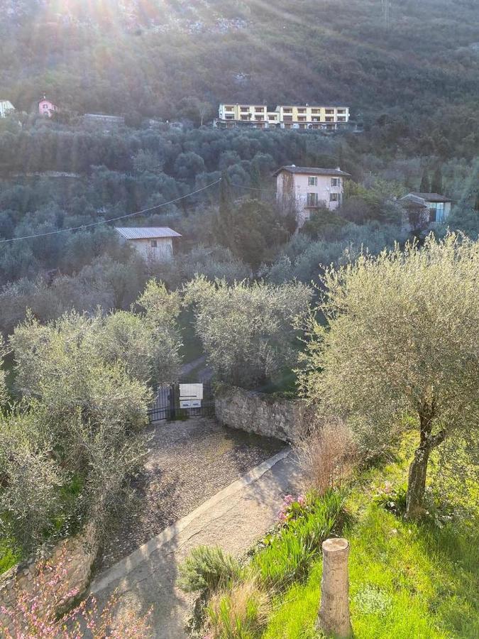 Apartamento Olive Grove House Malcesine Exterior foto